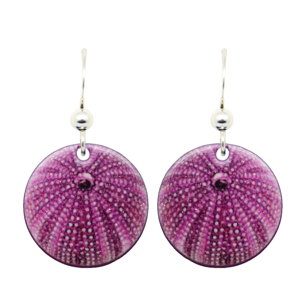 Sea Urchin