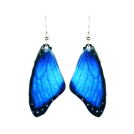 Blue Morpho Earrings, Sterling Silver Earwires, Item# 2303