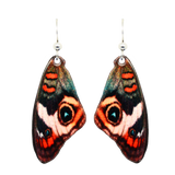 Buckeye Earrings, sterling silver french hooks, Item# 2305