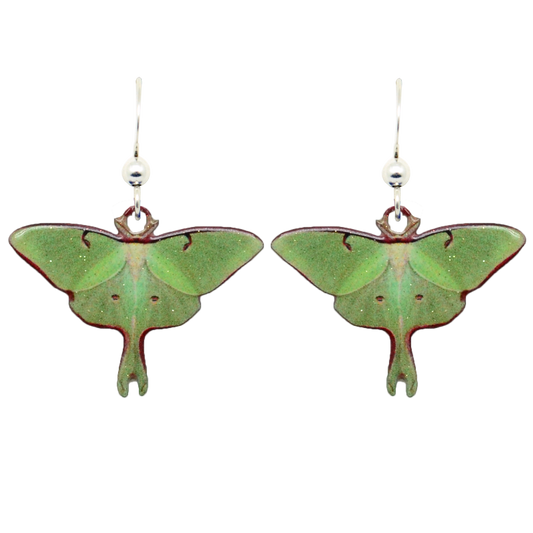 Luna Moth