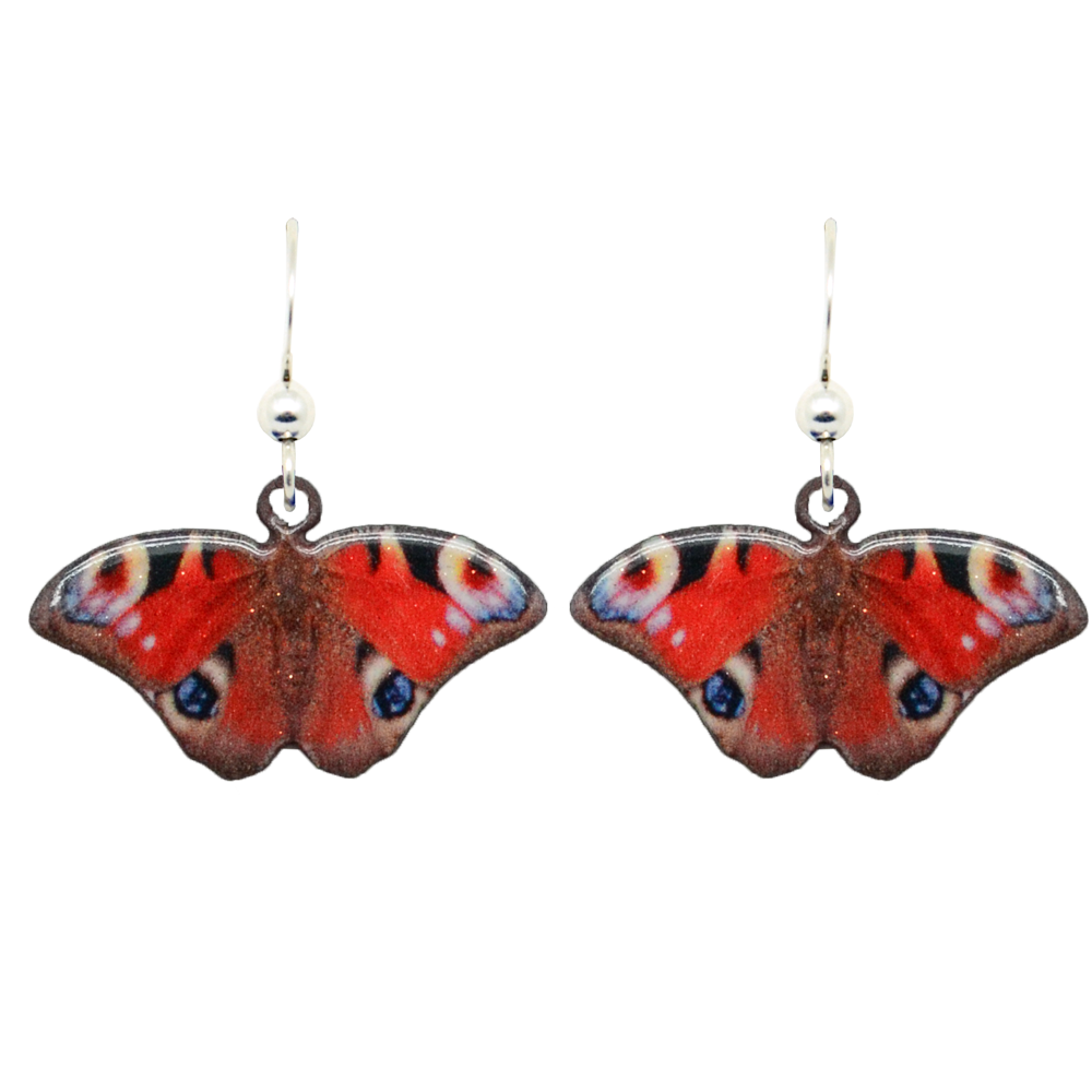 Peacock Butterfly