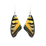 Tiger Swallowtail