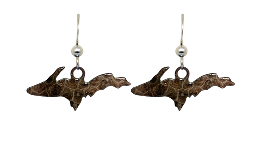 Upper MI, Petoskey Stone Earrings, #2381