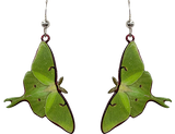 Flying Luna Moth Earrings, Stainless steel by d'ears