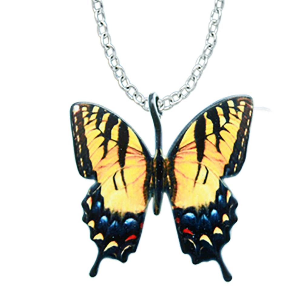 Tiger Swallowtail