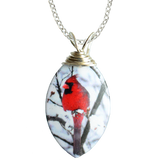 Northern Cardinal