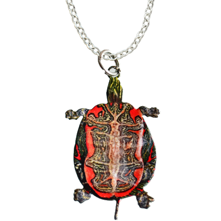 Painted Turtle