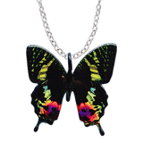 Sunset Moth