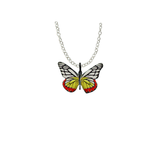 Jezebel Butterfly