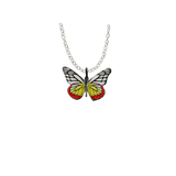 Jezebel Butterfly