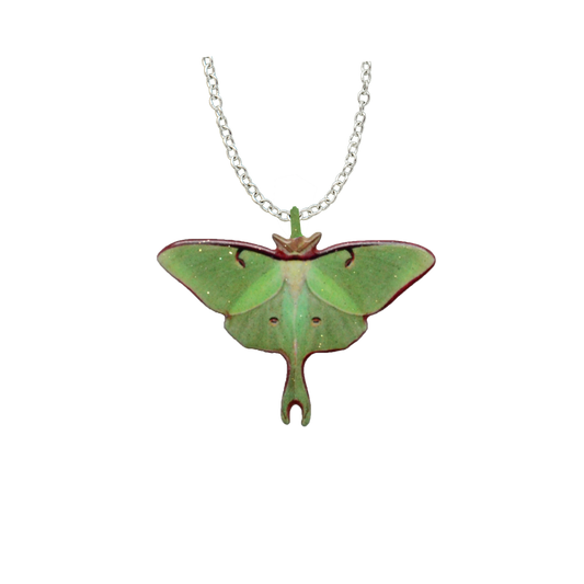 Luna Moth