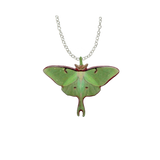 Luna Moth