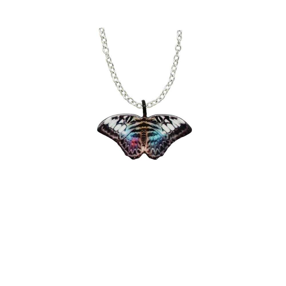 Parthenos Sylvia Butterfly