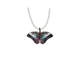 Parthenos Sylvia Butterfly