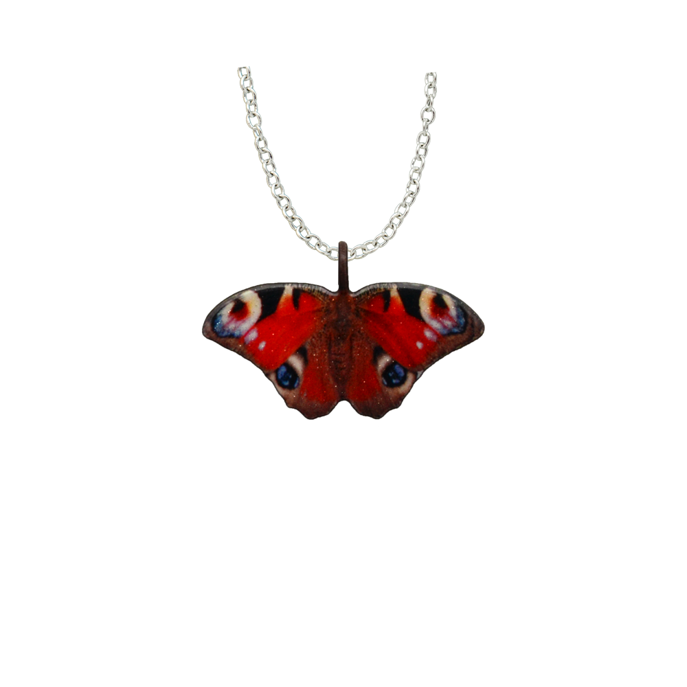 Peacock Butterfly