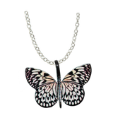 Paper Kite Butterfly