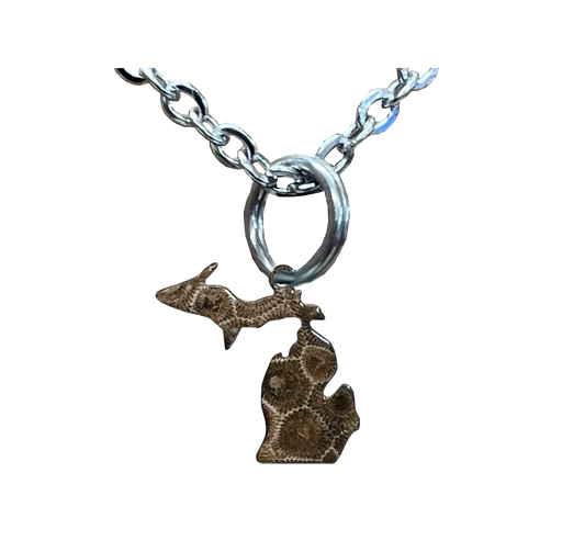 MI, State, Petoskey Stone Small Necklace #4680X