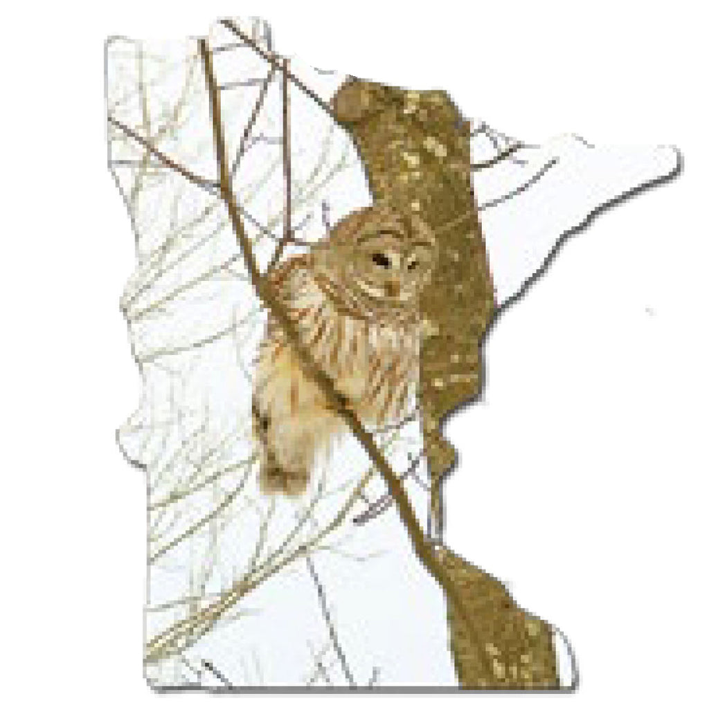 MN, Barred Owl, Pin #6022