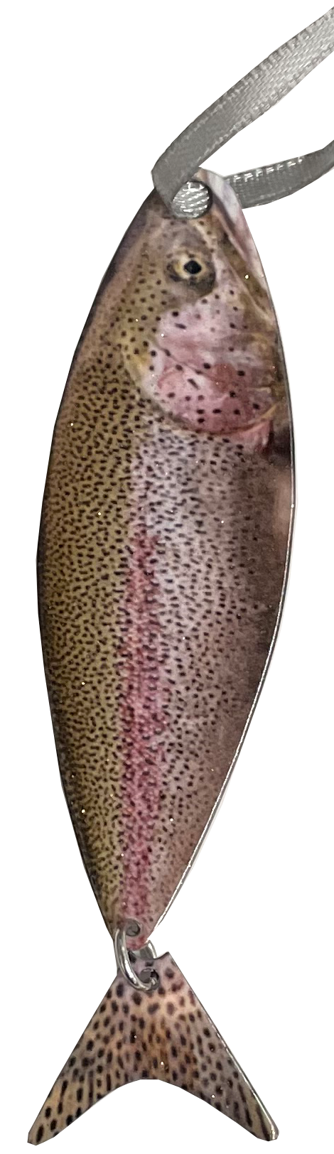 Rainbow Trout Ornament 4 inch #8344 by d'ears
