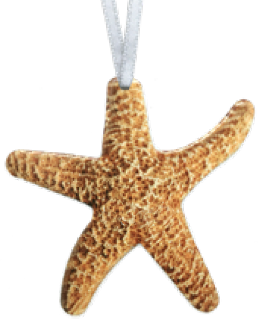 Starfish ornament #8373 by d'ears