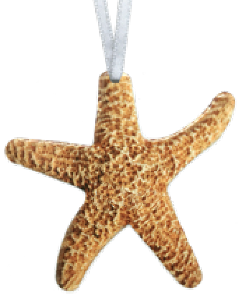 Starfish ornament #8373 by d'ears