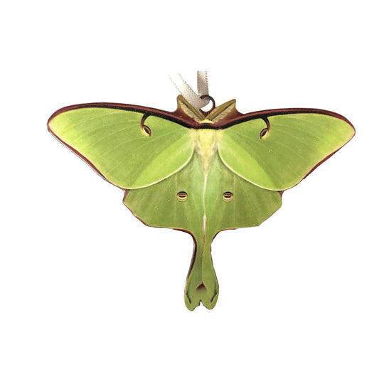 d'ears Luna Moth Ornament #8434