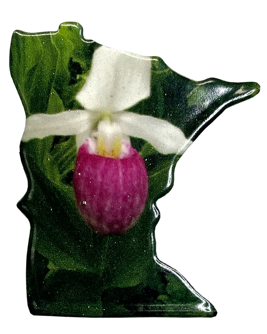 MN, Lady Slipper Magnet, #9531