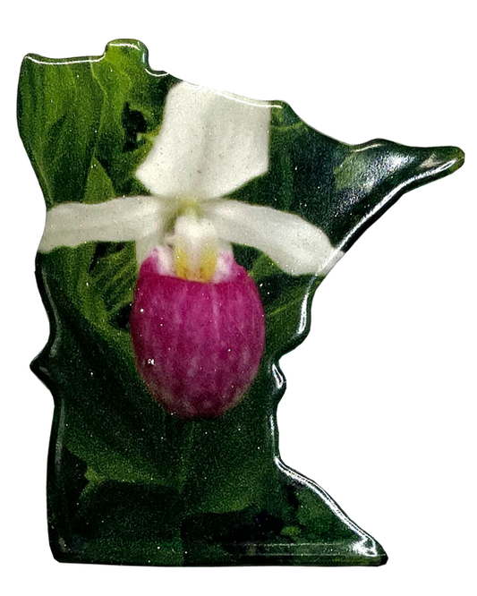 MN, Lady Slipper, Pin #6016