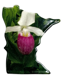 MN, Lady Slipper, Pin #6016