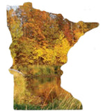 MN, Fall Colors Magnet, #9540
