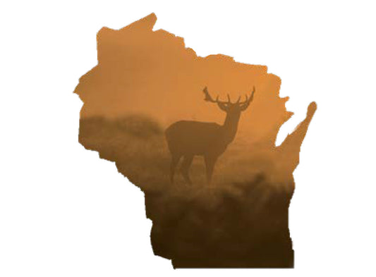 WI, Buck at Dawn, Magnet #9548
