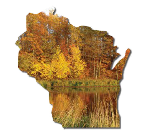 WI, Fall Colors, Magnet #9656