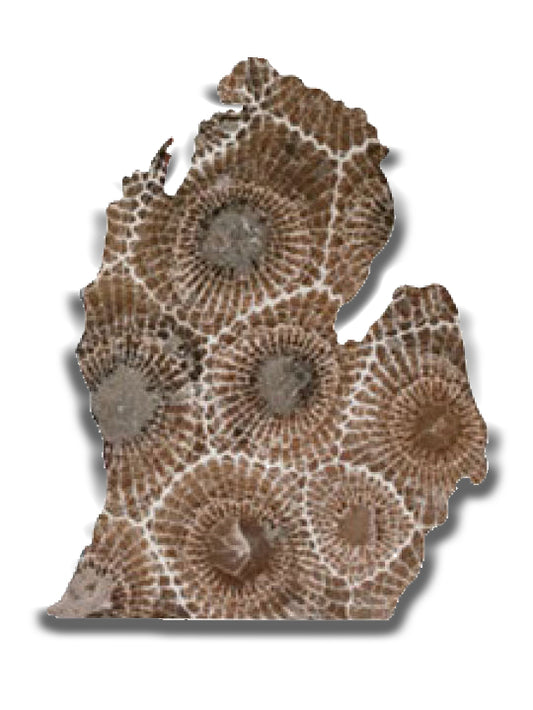 Lower MI, Petoskey Stone Magnet #9594