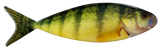 Perch Magnet #9639