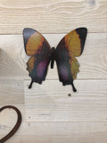 Purple stained butterfly, wall art by d'ears, made in the USA, 18 gauge steel