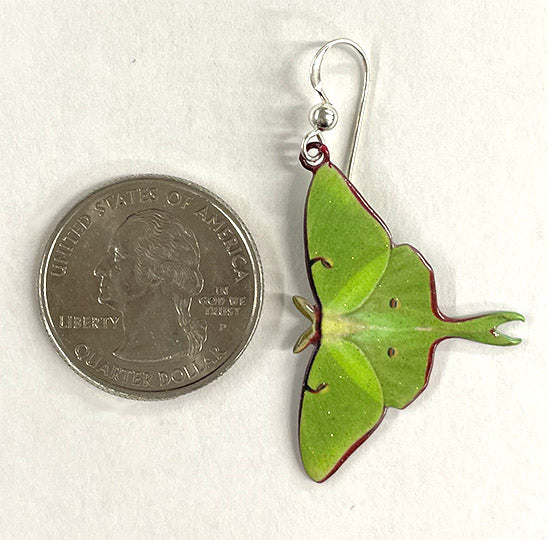 Flying Luna Moth Earrings, Stainless steel by d'ears