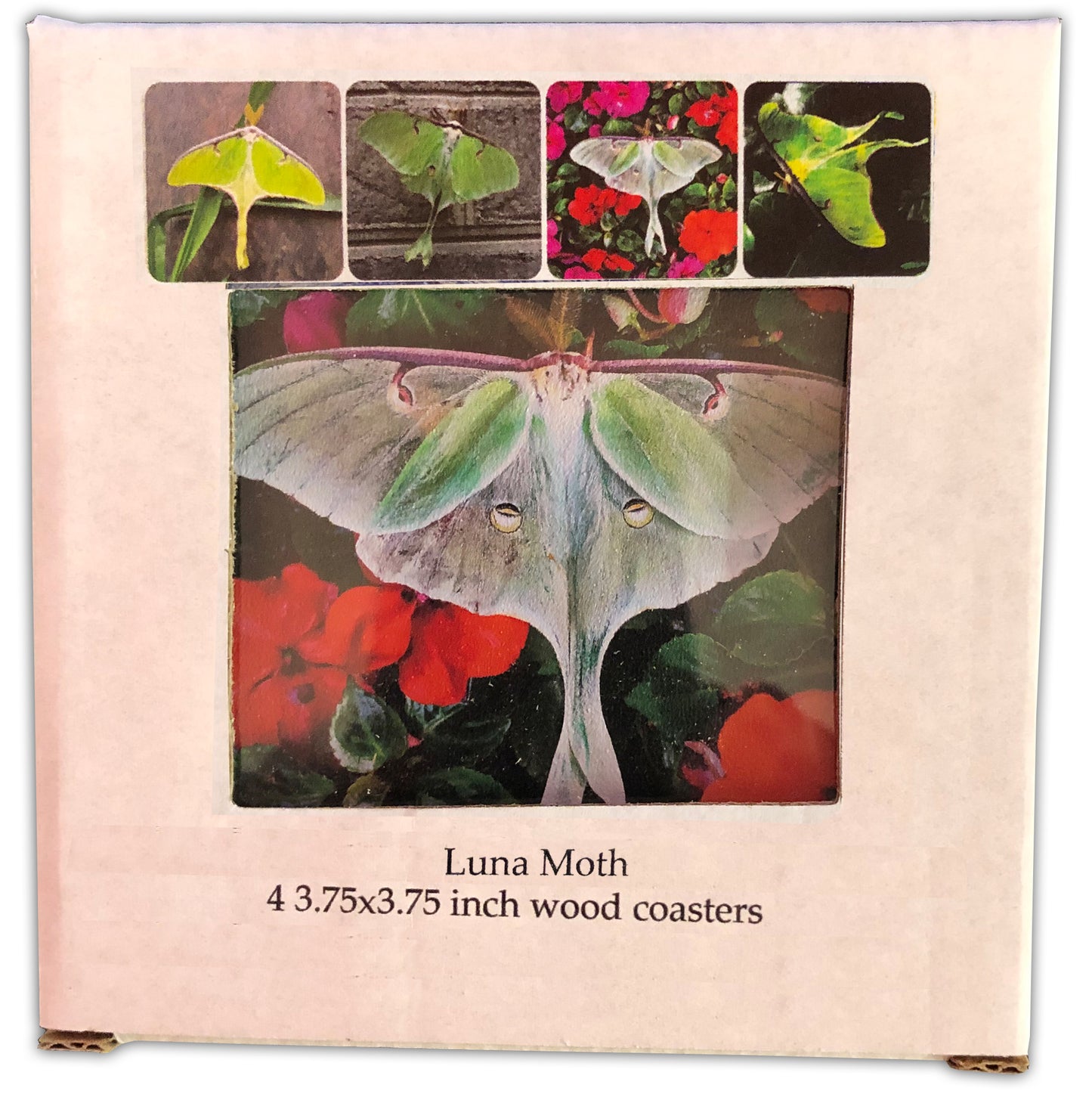 Luna Moth  Wood Coaster Set, 3.75x3.75, set of 4, made in USA by d'ears
